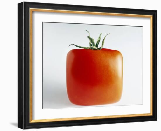 Square Tomato-Cordelia Molloy-Framed Photographic Print