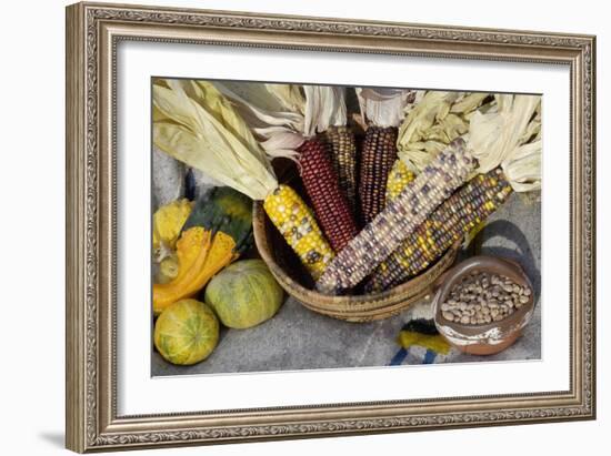 Squash, Corn, and Beans: the Three Sisters of Native American Agriculture-null-Framed Giclee Print