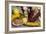 Squash, Corn, and Beans: the Three Sisters of Native American Agriculture-null-Framed Giclee Print