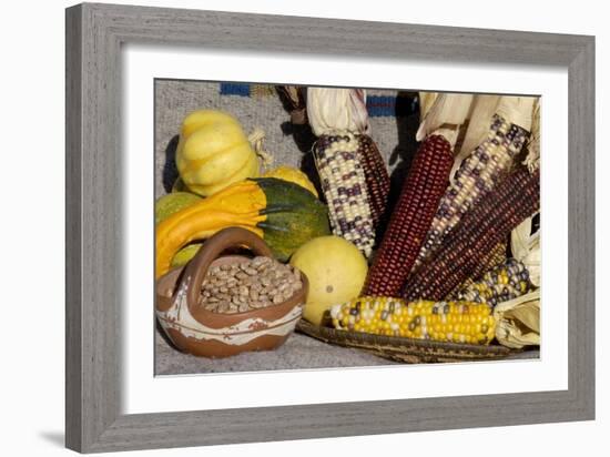 Squash, Corn, and Beans: the Three Sisters of Native American Agriculture-null-Framed Giclee Print