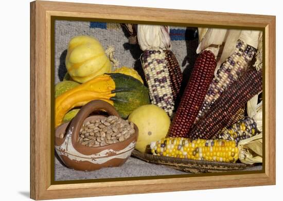 Squash, Corn, and Beans: the Three Sisters of Native American Agriculture-null-Framed Premier Image Canvas