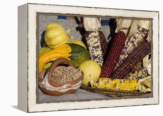 Squash, Corn, and Beans: the Three Sisters of Native American Agriculture-null-Framed Premier Image Canvas