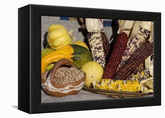 Squash, Corn, and Beans: the Three Sisters of Native American Agriculture-null-Framed Premier Image Canvas