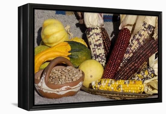 Squash, Corn, and Beans: the Three Sisters of Native American Agriculture-null-Framed Premier Image Canvas