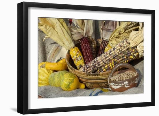 Squash, Corn, and Beans: the Three Sisters of Native American Agriculture-null-Framed Giclee Print