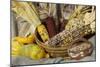 Squash, Corn, and Beans: the Three Sisters of Native American Agriculture-null-Mounted Giclee Print