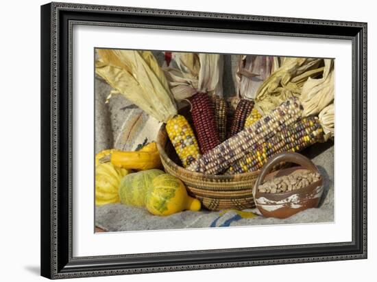 Squash, Corn, and Beans: the Three Sisters of Native American Agriculture-null-Framed Giclee Print