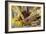 Squash, Corn, and Beans: the Three Sisters of Native American Agriculture-null-Framed Giclee Print