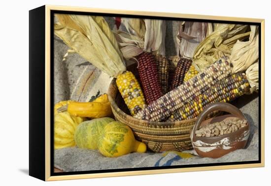 Squash, Corn, and Beans: the Three Sisters of Native American Agriculture-null-Framed Premier Image Canvas