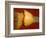 Squash Explosion-Alan Sailer-Framed Photographic Print