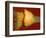 Squash Explosion-Alan Sailer-Framed Photographic Print