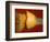 Squash Explosion-Alan Sailer-Framed Photographic Print