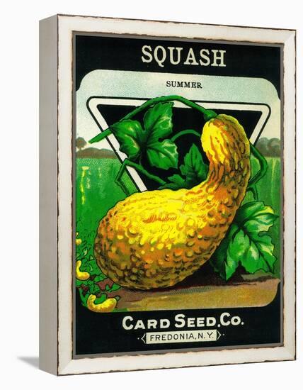 Squash Seed Packet-Lantern Press-Framed Stretched Canvas