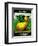 Squash Seed Packet-Lantern Press-Framed Art Print