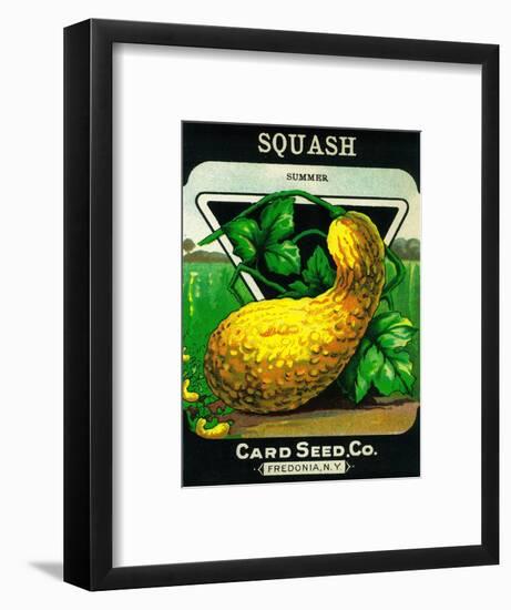 Squash Seed Packet-Lantern Press-Framed Art Print
