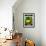 Squash Seed Packet-Lantern Press-Framed Art Print displayed on a wall