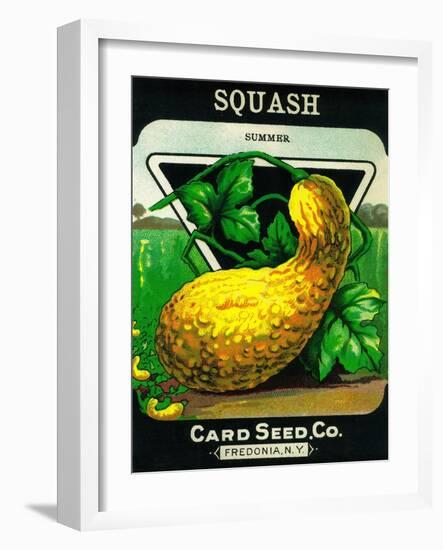 Squash Seed Packet-Lantern Press-Framed Art Print