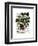 Squash Vine 1-Fab Funky-Framed Art Print