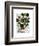 Squash Vine 1-Fab Funky-Framed Art Print