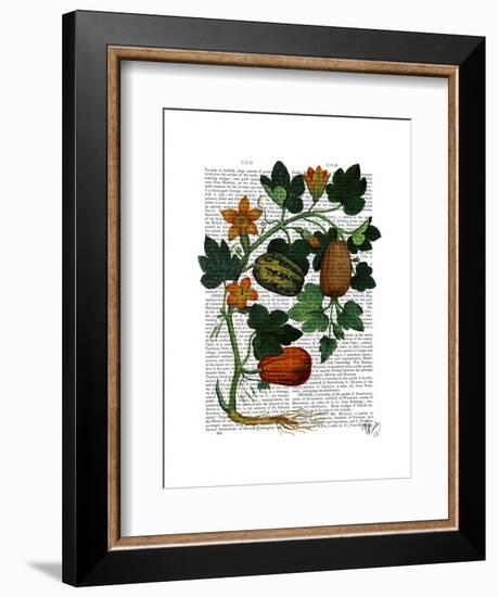 Squash Vine 1-Fab Funky-Framed Art Print