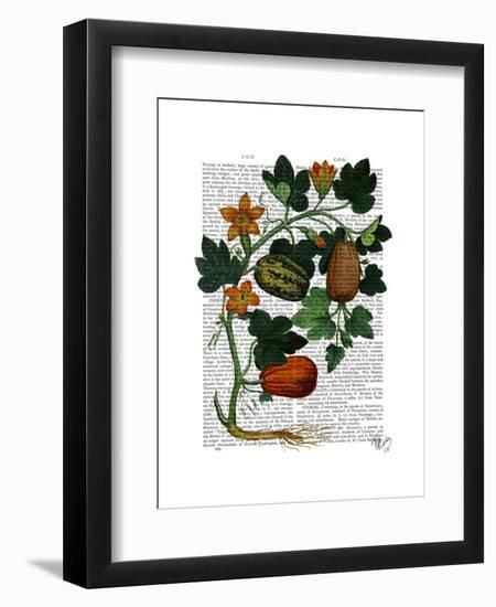 Squash Vine 1-Fab Funky-Framed Art Print