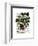 Squash Vine 1-Fab Funky-Framed Art Print