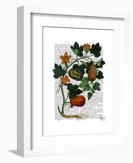 Squash Vine 1-Fab Funky-Framed Art Print
