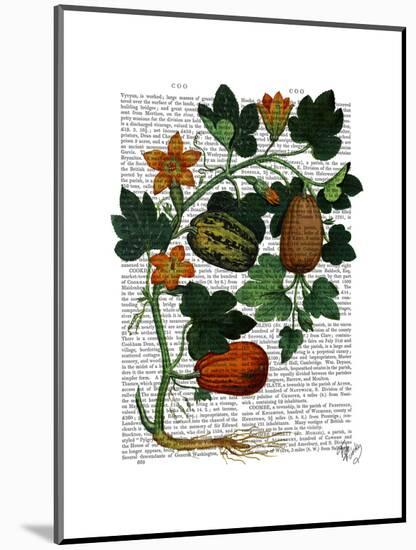 Squash Vine 1-Fab Funky-Mounted Art Print