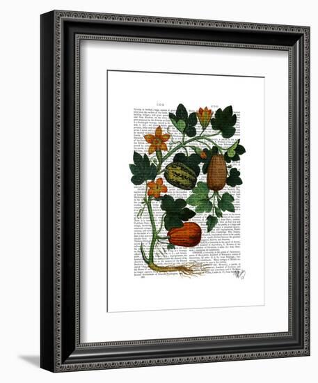 Squash Vine 1-Fab Funky-Framed Art Print