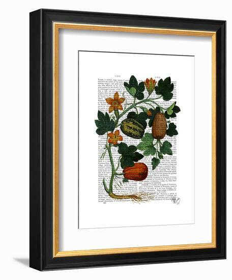 Squash Vine 1-Fab Funky-Framed Art Print