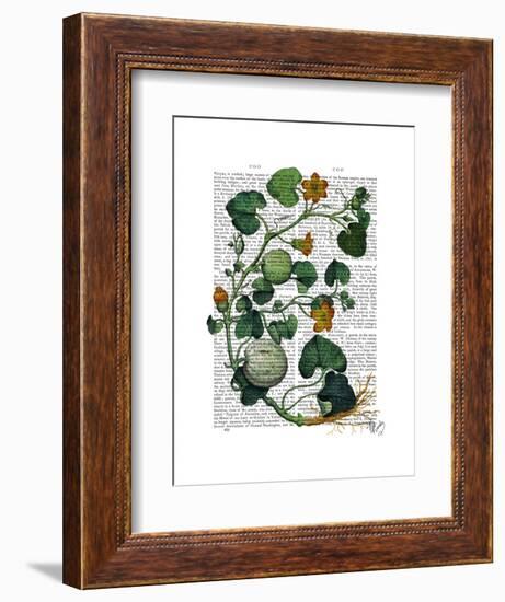 Squash Vine 2-Fab Funky-Framed Art Print