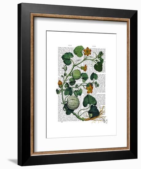 Squash Vine 2-Fab Funky-Framed Art Print