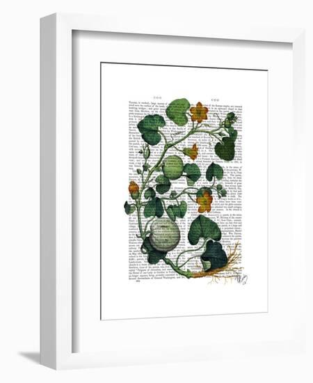 Squash Vine 2-Fab Funky-Framed Art Print