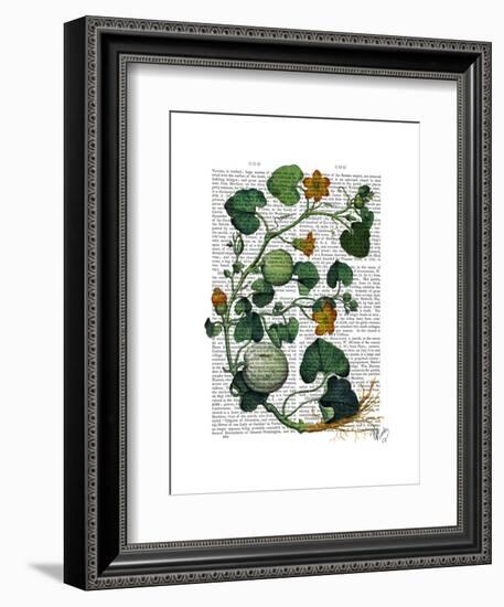 Squash Vine 2-Fab Funky-Framed Art Print