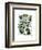 Squash Vine 2-Fab Funky-Framed Art Print