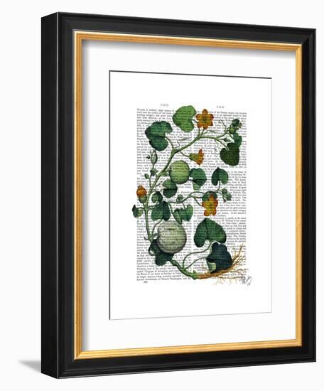 Squash Vine 2-Fab Funky-Framed Art Print