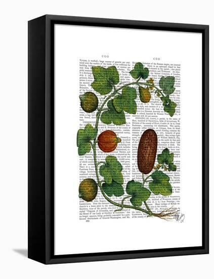 Squash Vine 3-Fab Funky-Framed Stretched Canvas