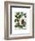 Squash Vine 3-Fab Funky-Framed Art Print