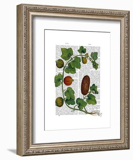 Squash Vine 3-Fab Funky-Framed Art Print