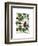 Squash Vine 3-Fab Funky-Framed Art Print