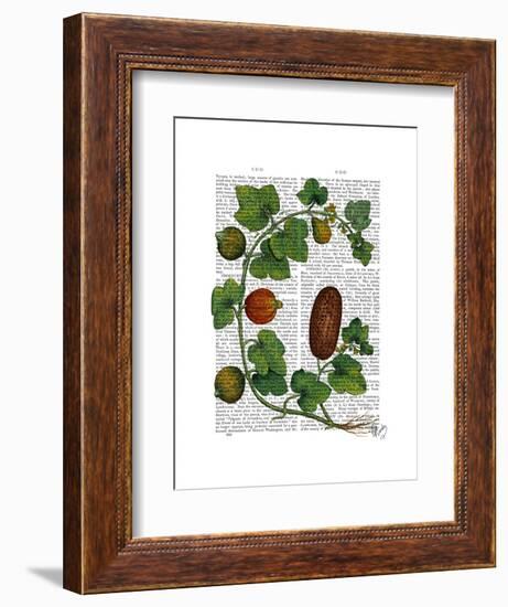 Squash Vine 3-Fab Funky-Framed Art Print