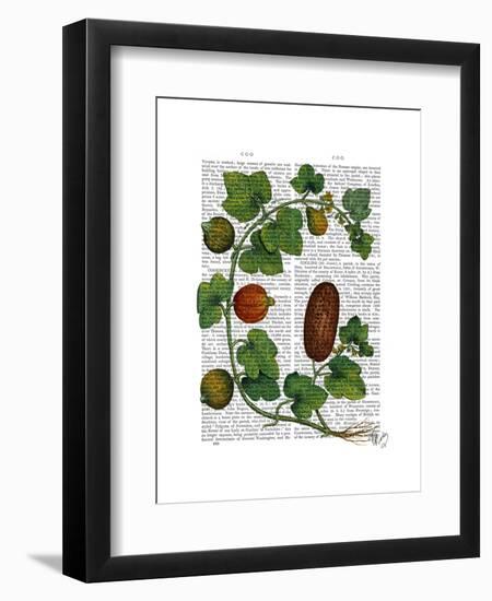 Squash Vine 3-Fab Funky-Framed Art Print