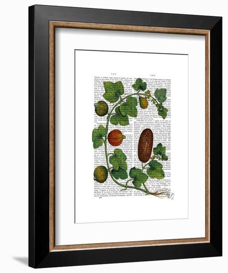 Squash Vine 3-Fab Funky-Framed Art Print