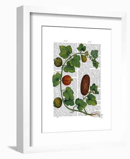 Squash Vine 3-Fab Funky-Framed Art Print