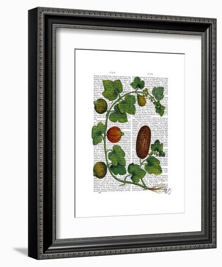 Squash Vine 3-Fab Funky-Framed Art Print