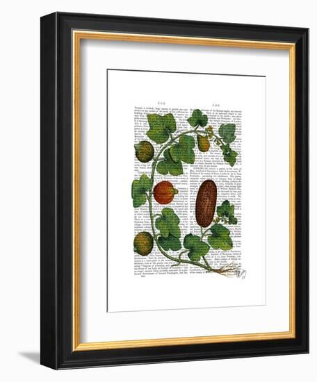 Squash Vine 3-Fab Funky-Framed Art Print