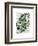 Squash Vine 4-Fab Funky-Framed Art Print