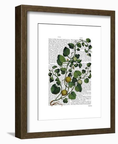 Squash Vine 4-Fab Funky-Framed Art Print