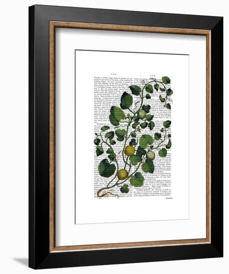 Squash Vine 4-Fab Funky-Framed Art Print