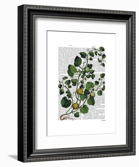 Squash Vine 4-Fab Funky-Framed Art Print